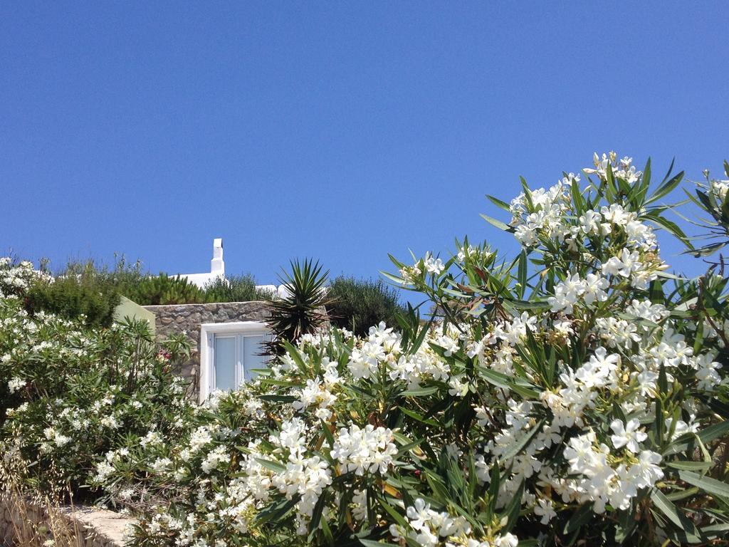 Mykonos Love Nest Ano Mera Pokoj fotografie